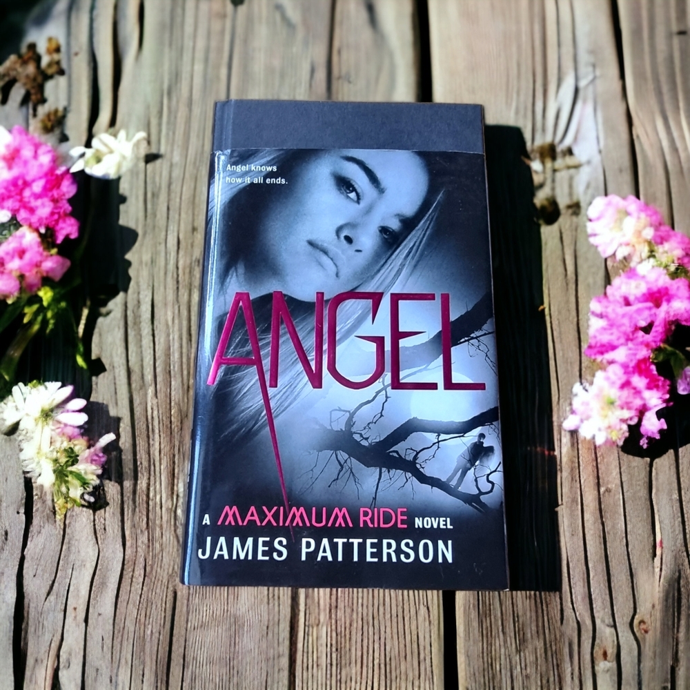 🌟2/$30 Sale!Mix & Match🌟 James Patterson - Angel - A Maximum Ride Novel